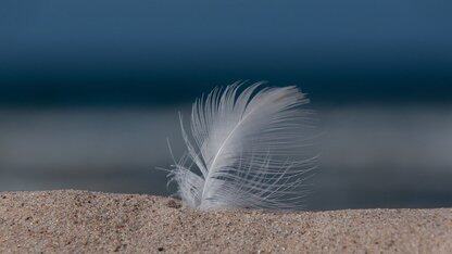 75 亿元！今年自动驾驶领域最大融资来了：微软、英伟达为其站台，这家英国 AI 独角兽被首相视为“全村的希望”