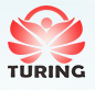 图灵视控