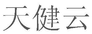 天健云科技