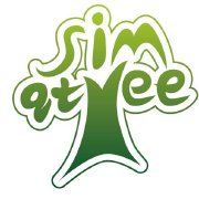 千藤树科技
