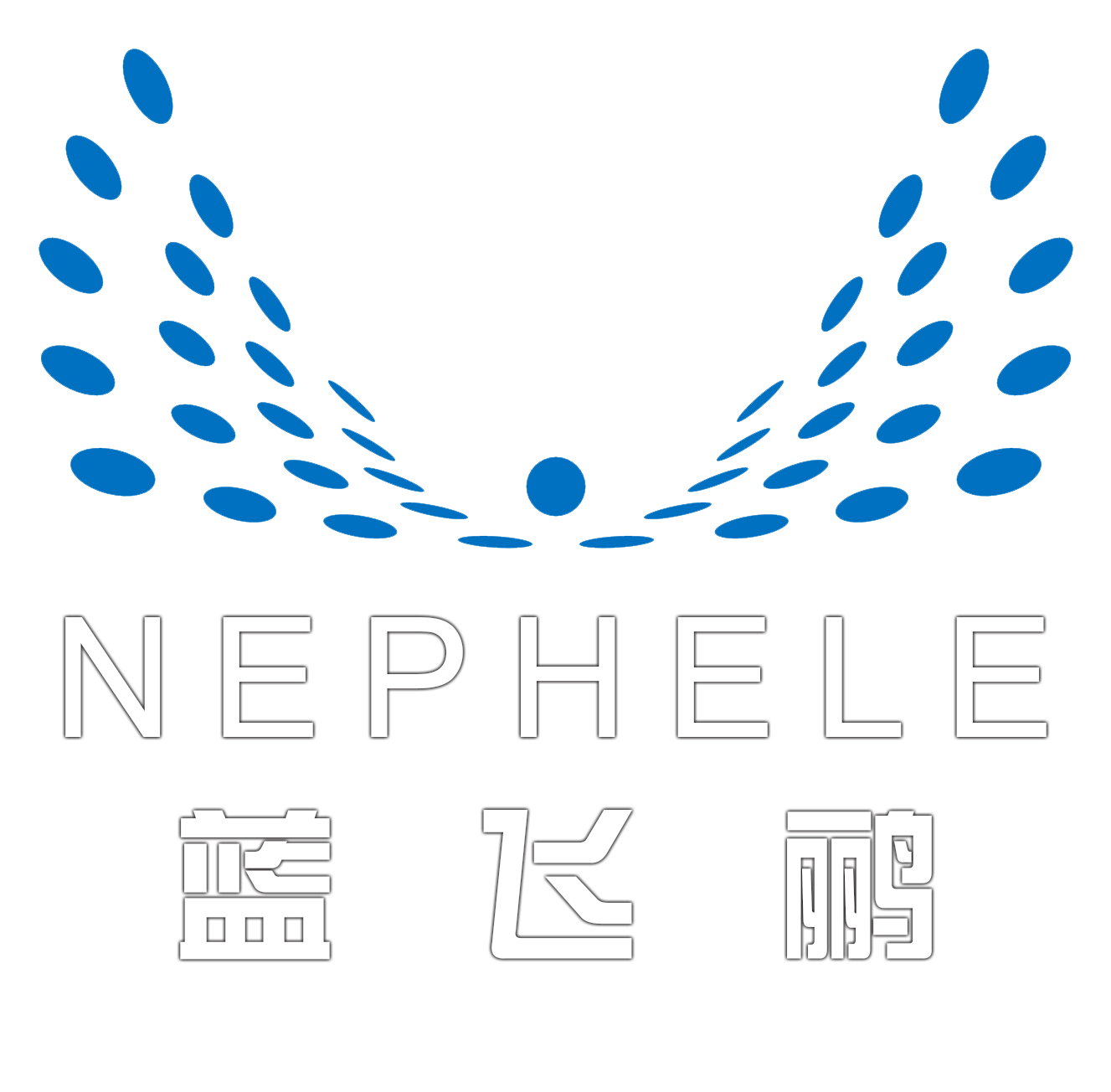 蓝飞鹂航空