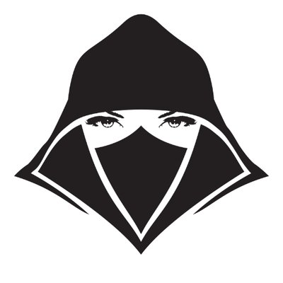 The Rogue Initiative