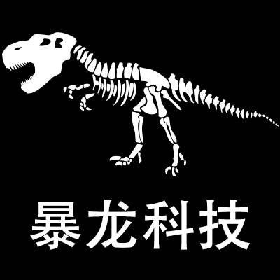 暴龙科技
