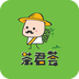 茶君荟