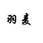 羽麦科技