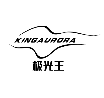 极光王