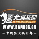 猛犬俱乐部