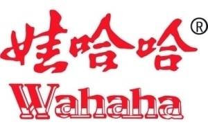 娃哈哈机器人