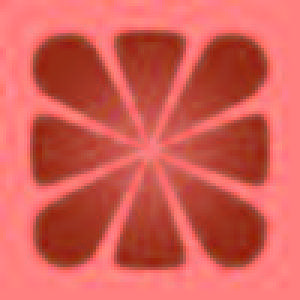 柚子智能