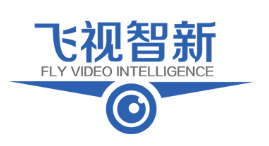 飞视智新