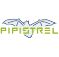 Pipistrel